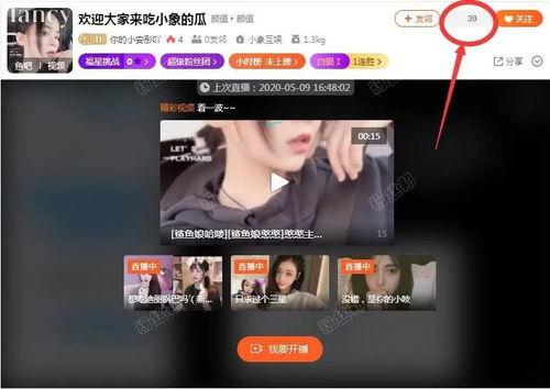 东北主播爆料视频下载,热门爆料视频幕后下载攻略 第2张 东北主播爆料视频下载,热门爆料视频幕后下载攻略 第2张