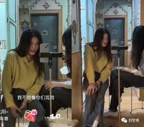 吃瓜网红被骗事件,揭秘网络诈骗背后的真相