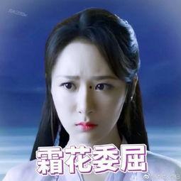 杨紫爆料润玉视频大全下载